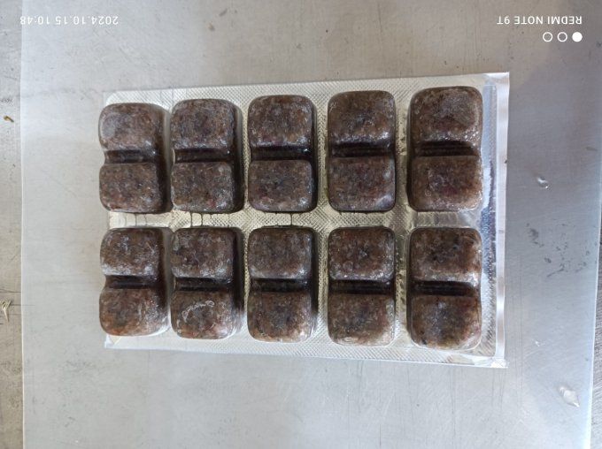 Artémia Salina deCamargue cryogénisée Blister 100g 